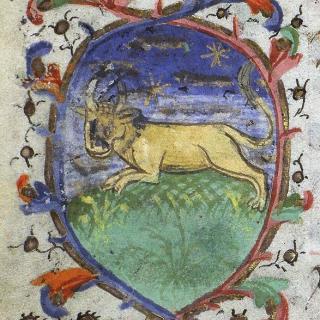 Taurus